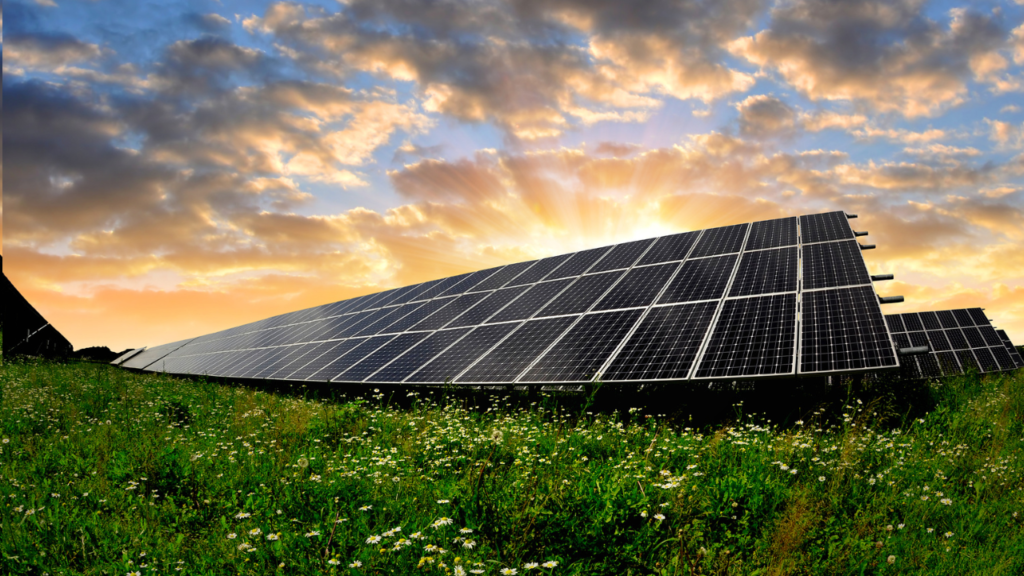 Painéis solares para produção de energia renovável
